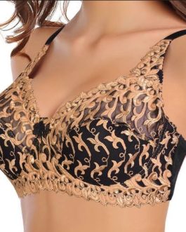 Front Cup Embroidery Net Bra for Regular Use in 2024